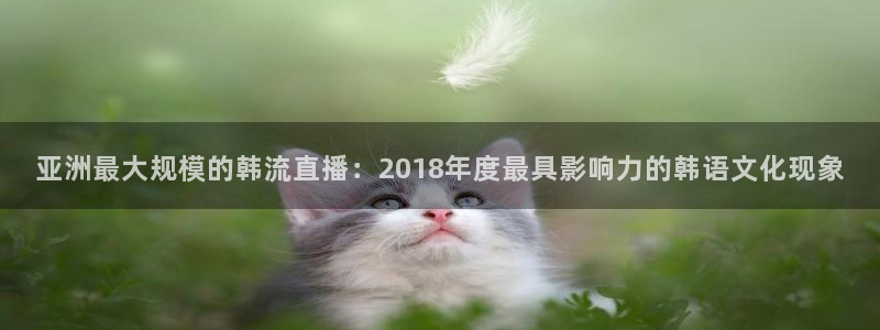 飞速体育直播安卓最新厅.发布新版.org：亚洲最大规模的韩流直播：2018年度最具影响力的韩语文化现象