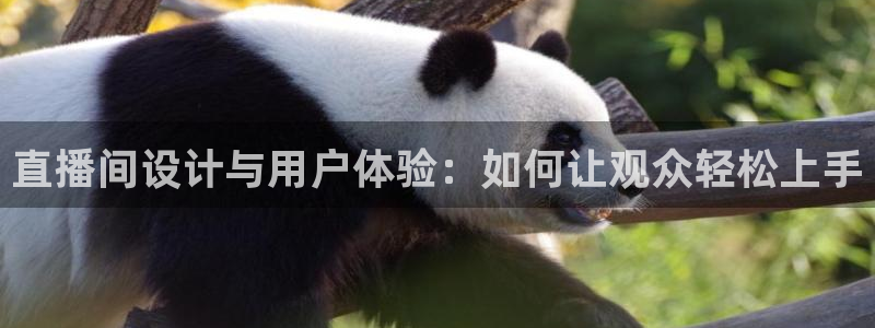 飞速体育高清直播：直播间设计与用户体验：如何让观众轻松上手