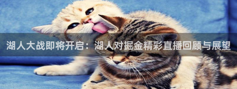 飞速nba免费直播：湖人大战即将开启：湖人对掘金精彩直播回顾与展望