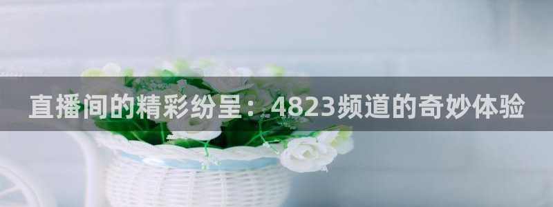 高速飞速体育直播：直播间的精彩纷呈：4823频道的奇妙体验